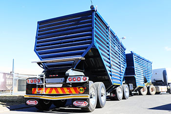 Grain Dumper