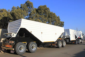 Grain Dumper